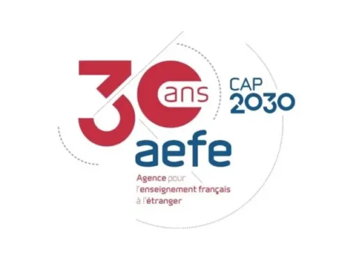 Cap 2030 : des moyens pas à la hauteur des ambitions – LFCI N°51 – juin 2025